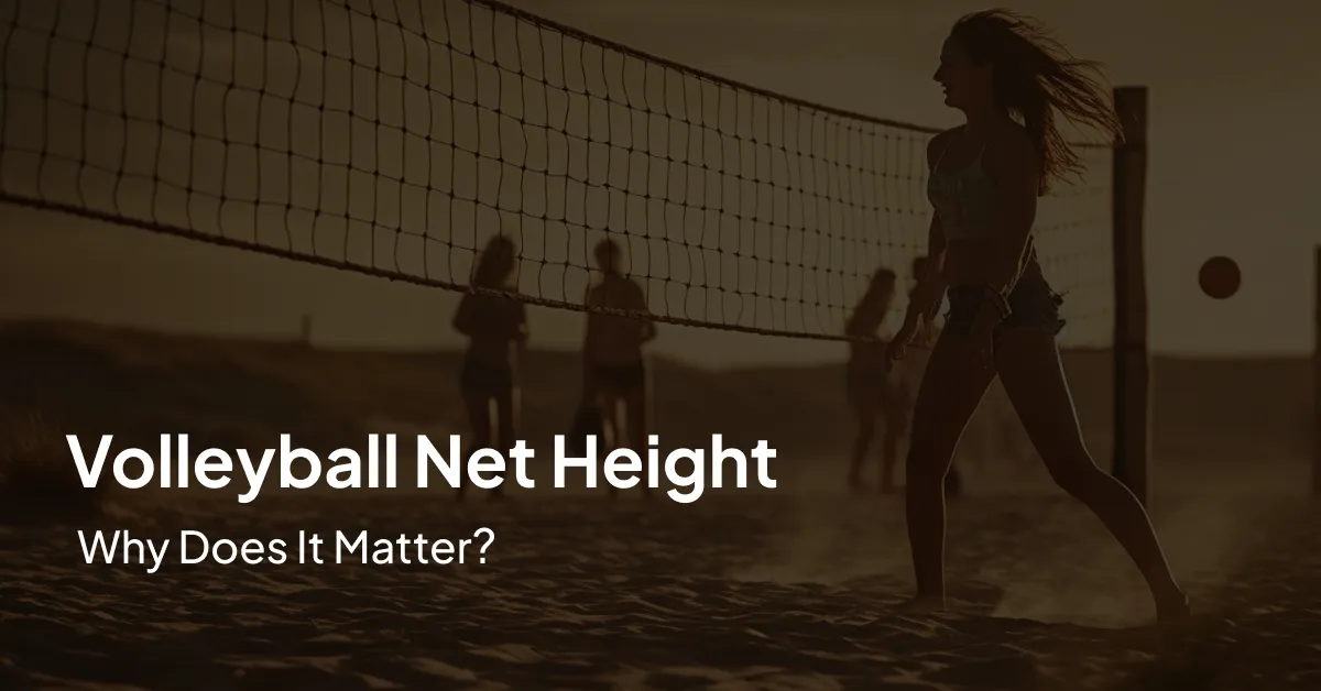 Volleyball Net Height