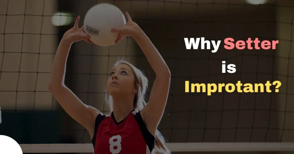 How Important Is The Setter?